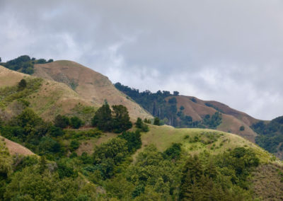 Hills of Big Sur